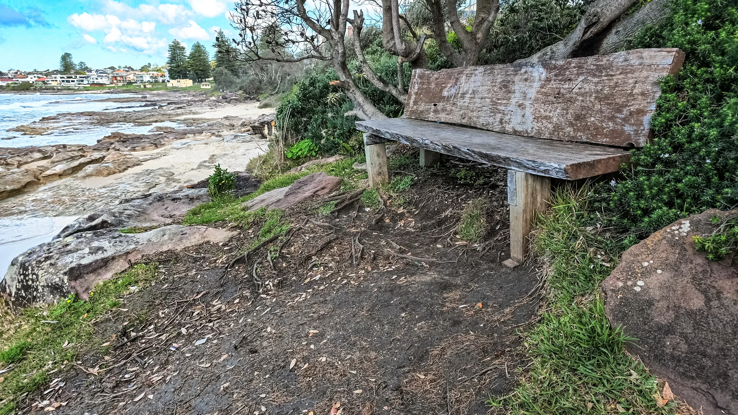 Weathered wooden bench overlooking the rocks and ocean near Blackwoods Beach
