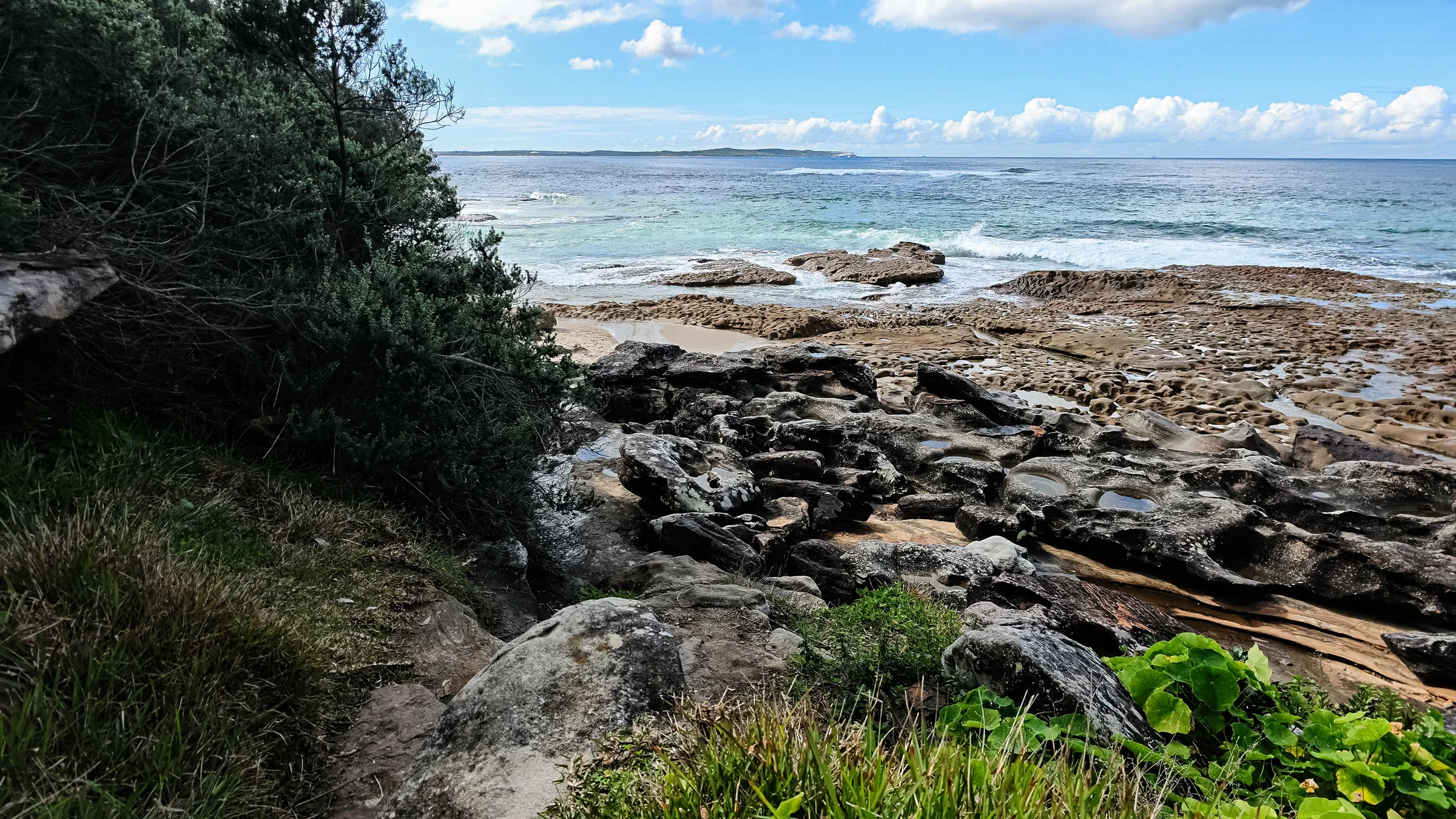 Rocky shoreline and blue ocean seen from the access path at Blackwoods Beach