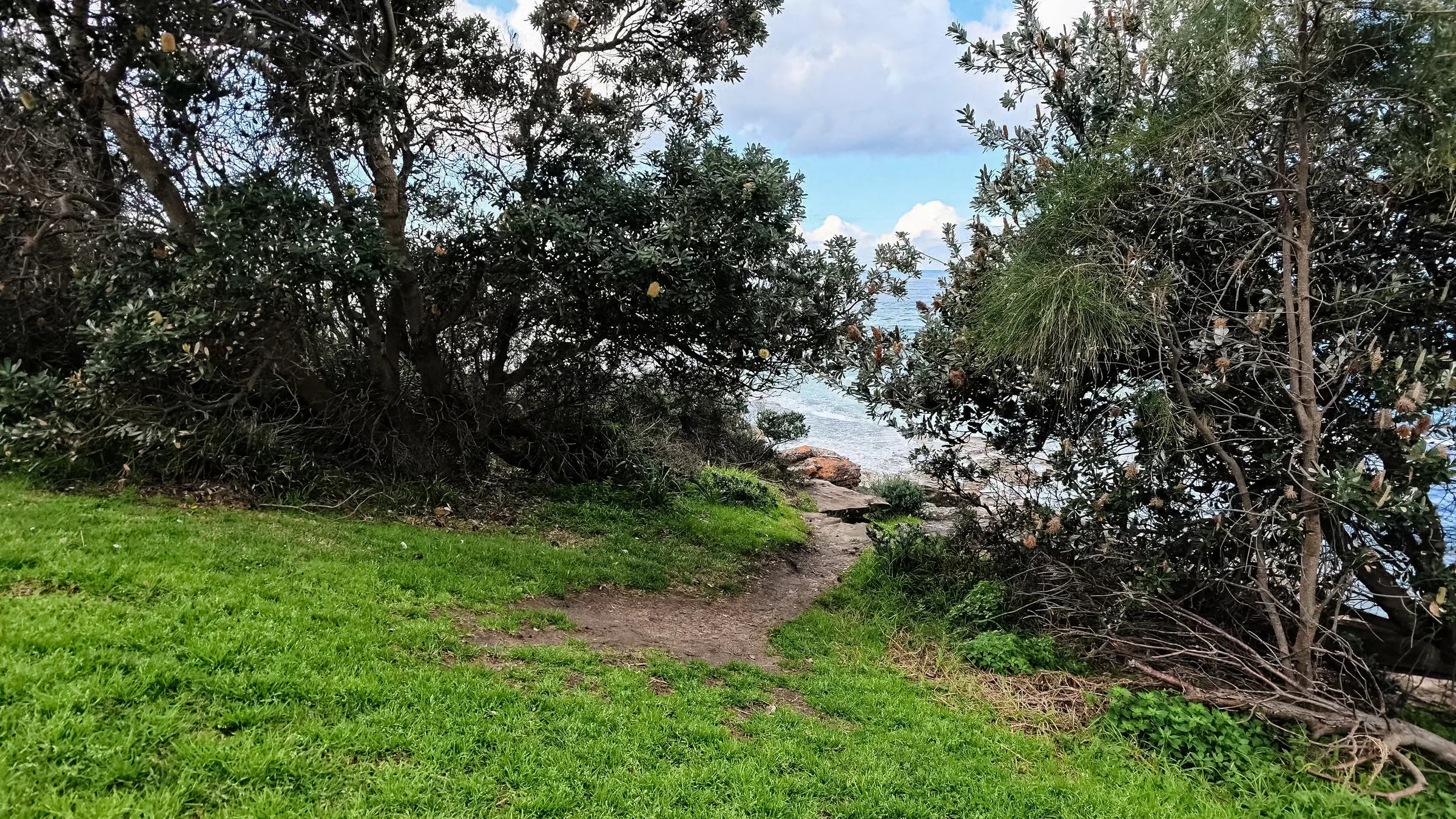 Uneven path through trees towards the rocky shoreline at Blackwoods Beach