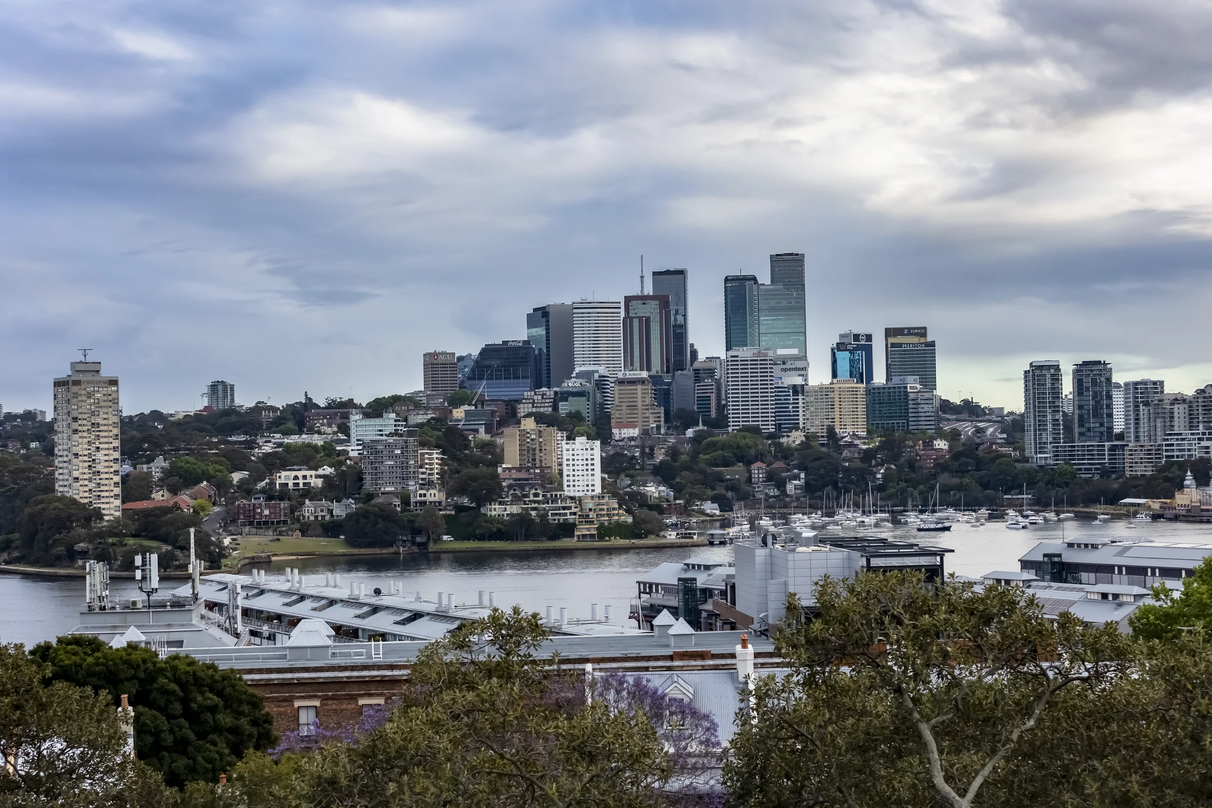 North Sydney skyline and harbour seen from the hill
