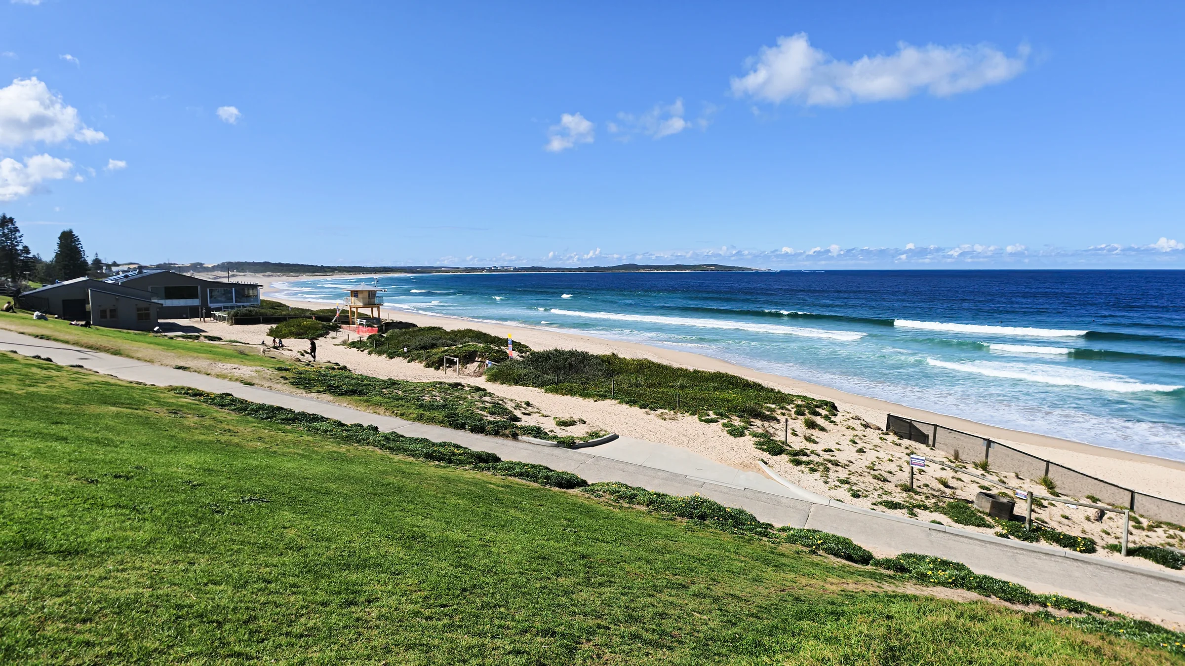 Grassy hill above Elouera Beach with the walkway, surf club and ocean beyond
