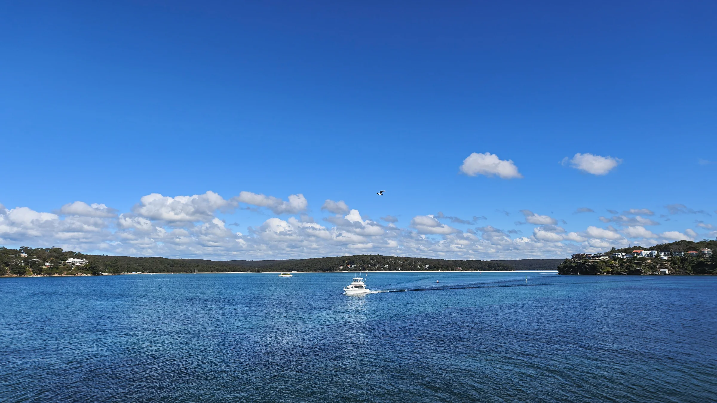 Small boat crossing Port Hacking under a blue sky