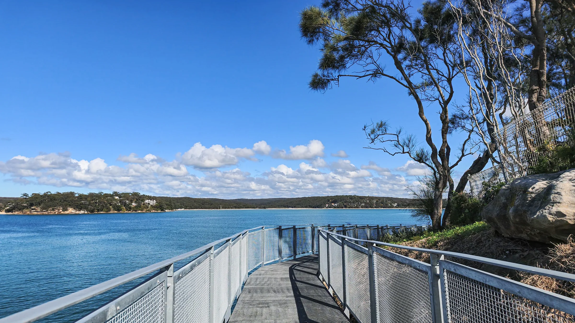 Walkway curving around a tree with views across Port Hacking