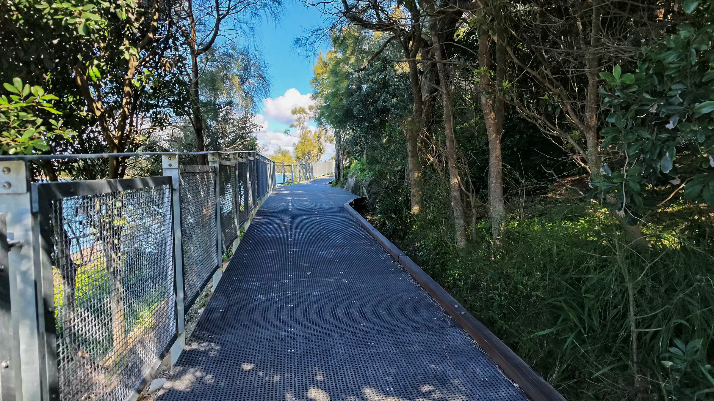 Hungry Point walkway passing through leafy bush beside a fence