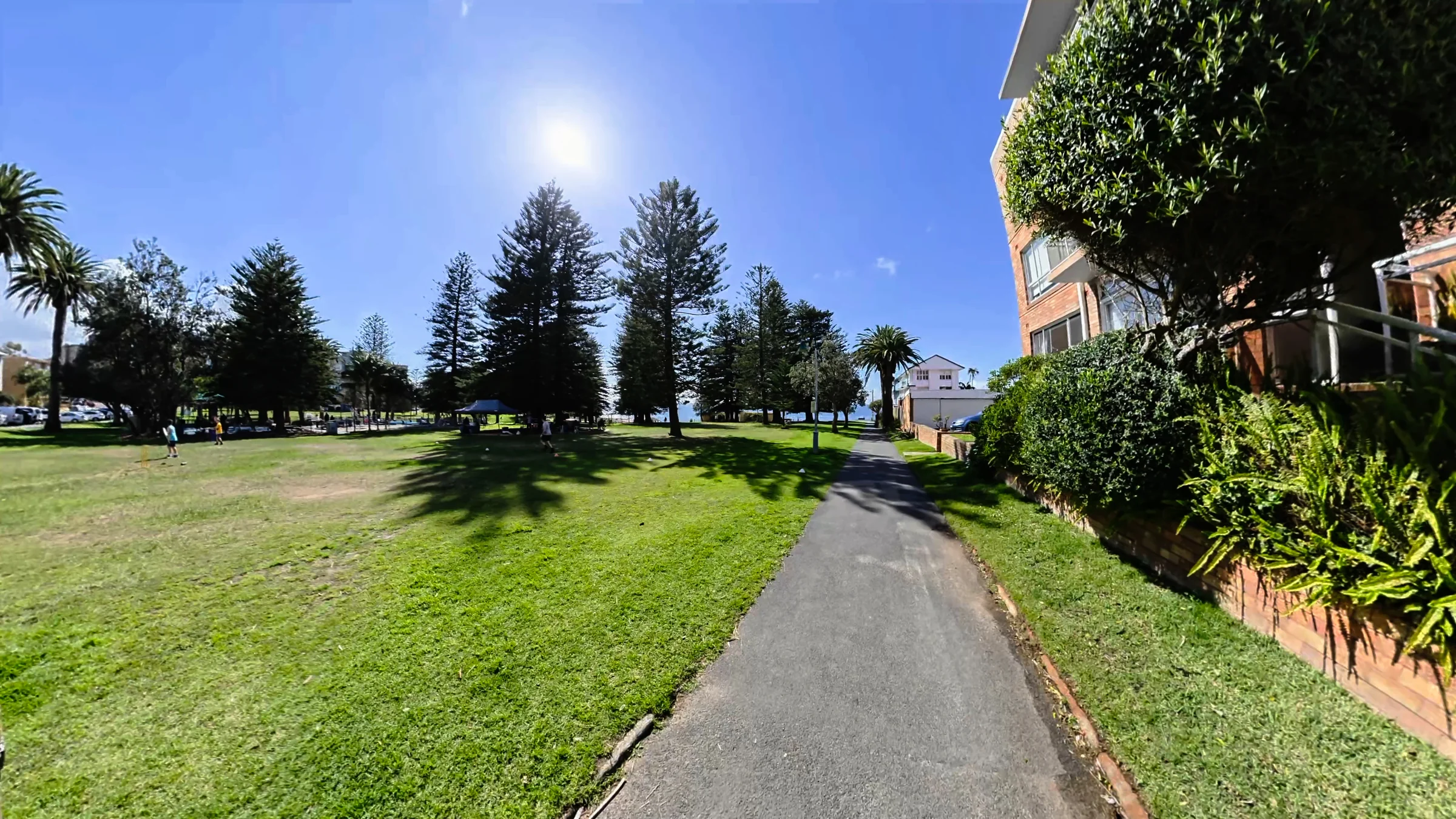 Sunny picnic lawns, tall pine trees and a footpath through Shelly Park