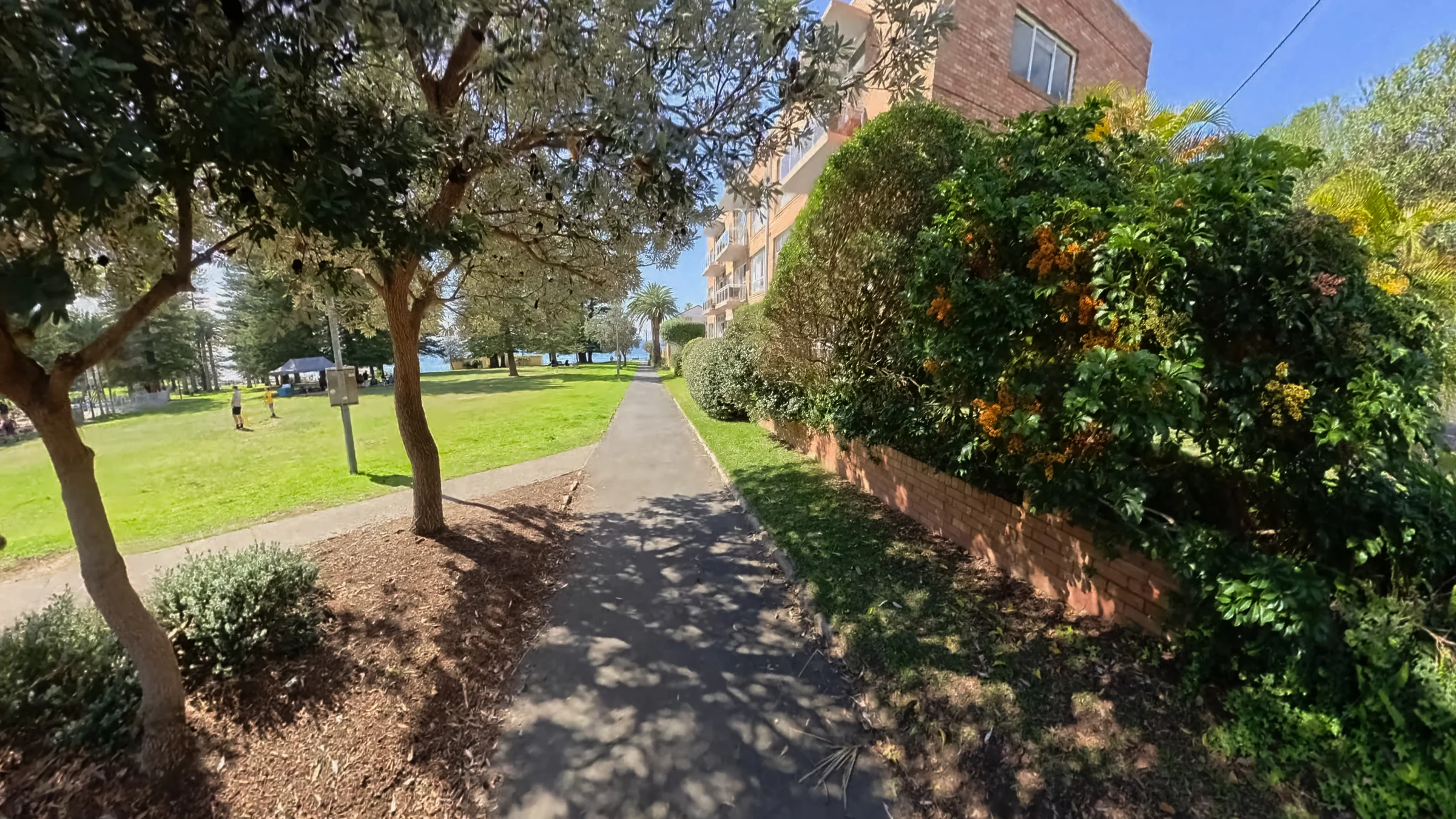 Tree-shaded path beside lawns and gardens in Shelly Park