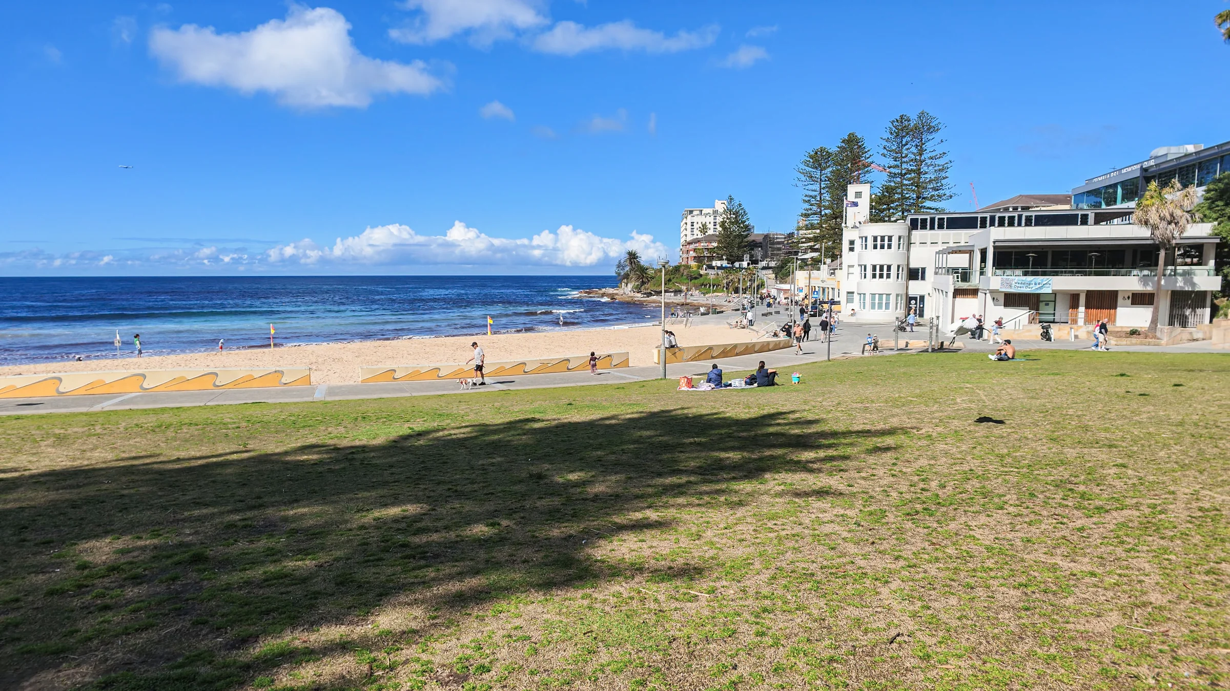 Shaded grass in Cronulla Park overlooking South Cronulla Beach
