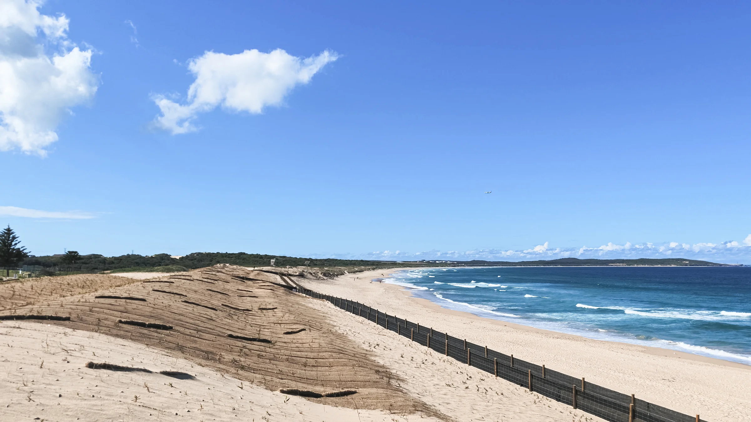 View north along Wanda Beach with dunes beside the sand and ocean